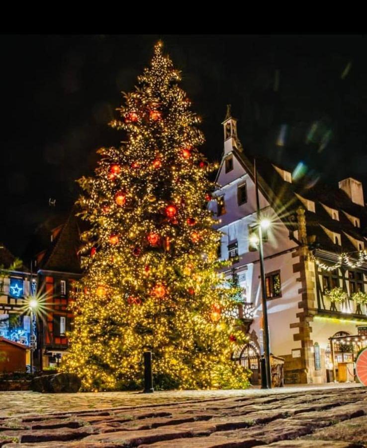 Appartamento Le Beffroi Obernai Esterno foto