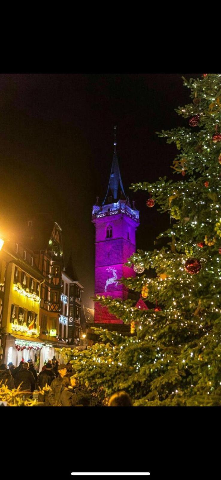 Appartamento Le Beffroi Obernai Esterno foto